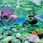 Perhentian-island-snorkeling