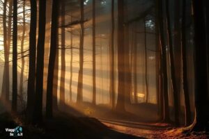 Black Park, il parco che ha rappresentato la Foresta Proibita nei film di Harry Potter, con boschi densi e sentieri incantati.